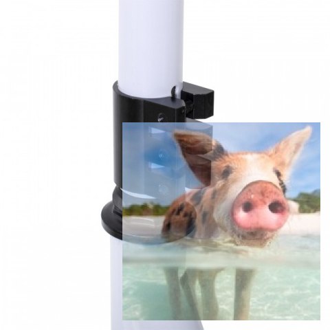 Hulajnoga wyczynowa STIV (koła 100mm, szer. podestu 110mm, wzmocniona konstrukcja) - biała