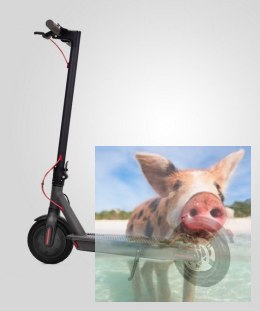 Hulajnoga z napędem elektrycznym