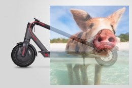 Hulajnoga z napędem elektrycznym