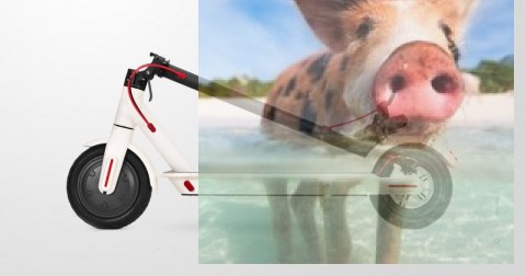 Hulajnoga z napędem elektrycznym