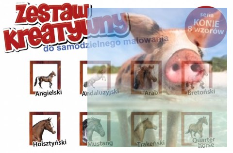 KONIE - Wypukła Malowanka Seria KONIE - HOLSZTYŃSKI