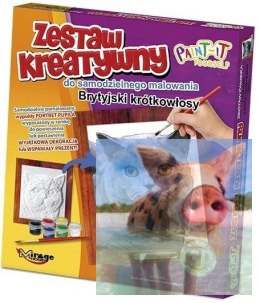 KOTY - Wypukła Malowanka Seria KOTY - BRYTYJSKI KRÓTKOWŁOSY
