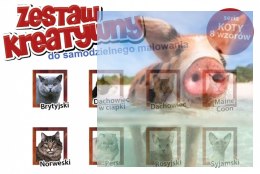 KOTY - Wypukła Malowanka Seria KOTY - DACHOWIEC W CIAPKI