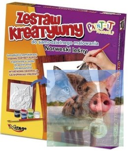 KOTY - Wypukła Malowanka Seria KOTY - NORWESKI LEŚNY