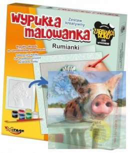 KWIATY - Wypukła Malowanka - RUMIANKI