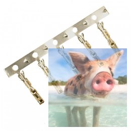 Konektory FUTABA żeńskie - POSERWISOWE