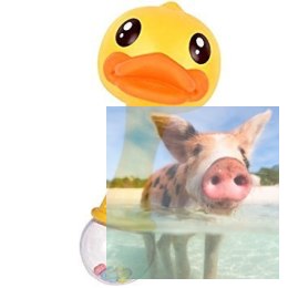 Marakas dla dzieci