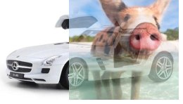 Mercedes Benz SLS AMG 1:24 (metalowy) - Biały