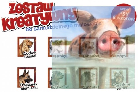 PSY - Wypukła Malowanka Seria PSY - LABRADOR