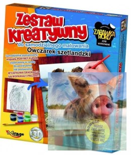 PSY - Wypukła Malowanka Seria PSY - Owczarek Szetlandzki