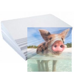 Papier xero