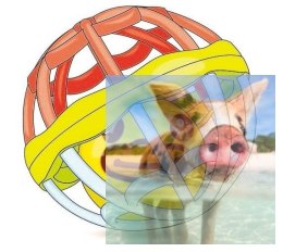 Piłeczka do rzucania