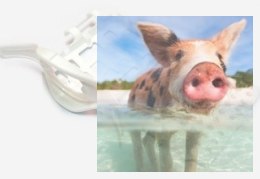 Przedni trymer(biały) - X23-11