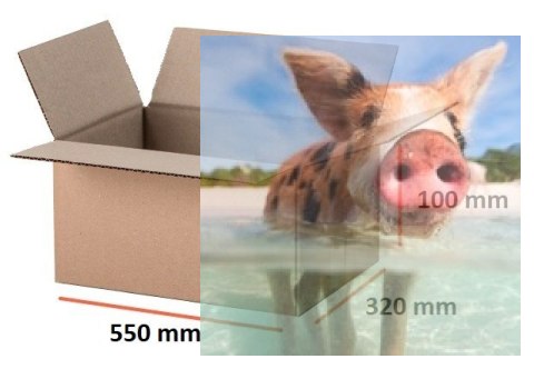 Pudełko kartonowe 550x320x100mm klapowe