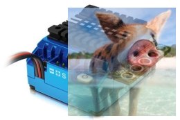 Regulator Obrotów Toro TS120A ESC (uszkodzona elektronika)