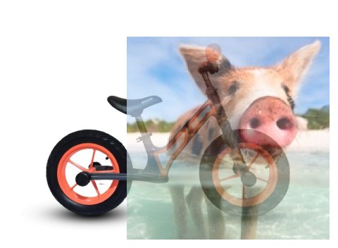 Rowerek biegowy Leo (pompowane koła 12", wiek 3+, kierownica na łożysku) - pomarańczowy