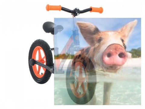 Rowerek biegowy Leo (pompowane koła 12", wiek 3+, kierownica na łożysku) - pomarańczowy