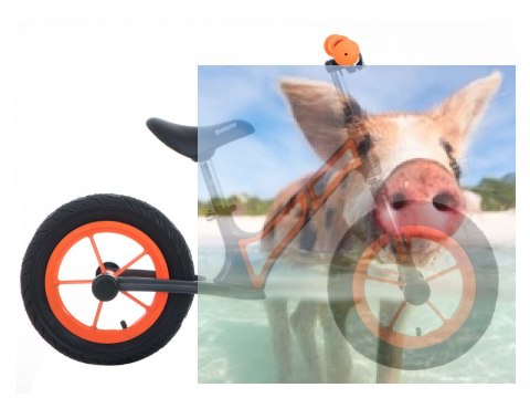 Rowerek biegowy Leo (pompowane koła 12", wiek 3+, kierownica na łożysku) - pomarańczowy