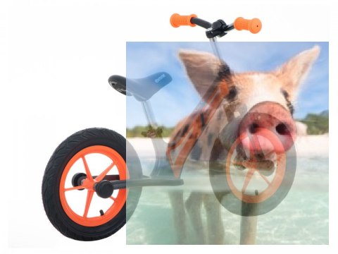 Rowerek biegowy Leo (pompowane koła 12", wiek 3+, kierownica na łożysku) - pomarańczowy