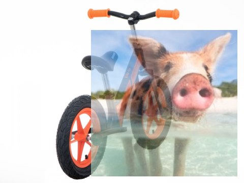 Rowerek biegowy Leo (pompowane koła 12", wiek 3+, kierownica na łożysku) - pomarańczowy