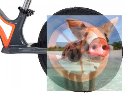 Rowerek biegowy Leo (pompowane koła 12", wiek 3+, kierownica na łożysku) - pomarańczowy