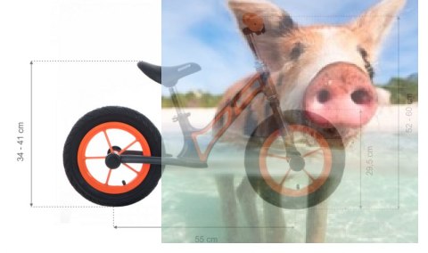 Rowerek biegowy Leo (pompowane koła 12", wiek 3+, kierownica na łożysku) - pomarańczowy