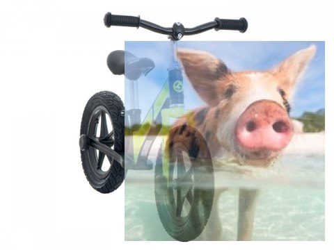 Rowerek biegowy Leo (pompowane koła 12", wiek 3+, kierownica na łożysku) - zielony