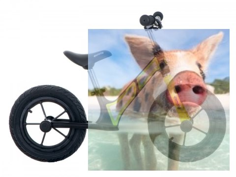 Rowerek biegowy Leo (pompowane koła 12", wiek 3+, kierownica na łożysku) - zielony