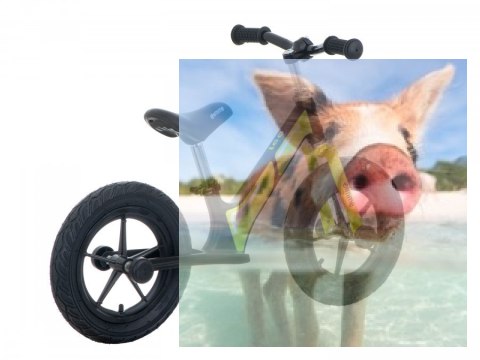 Rowerek biegowy Leo (pompowane koła 12", wiek 3+, kierownica na łożysku) - zielony