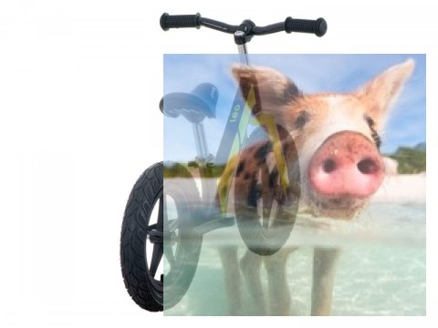 Rowerek biegowy Leo (pompowane koła 12", wiek 3+, kierownica na łożysku) - zielony