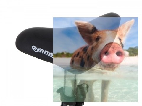 Rowerek biegowy Leo (pompowane koła 12", wiek 3+, kierownica na łożysku) - zielony