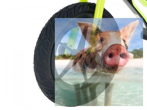 Rowerek biegowy Leo (pompowane koła 12", wiek 3+, kierownica na łożysku) - zielony