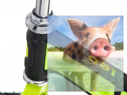 Rowerek biegowy Leo (pompowane koła 12", wiek 3+, kierownica na łożysku) - zielony