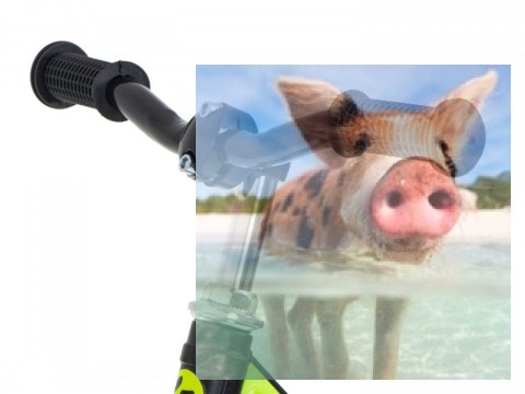 Rowerek biegowy Leo (pompowane koła 12", wiek 3+, kierownica na łożysku) - zielony