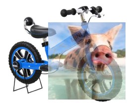 Rowerek biegowy MINI z hamulcem - niebieski