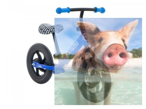 Rowerek biegowy Teddy (koła 11" pianka EVA, wiek 3+, lekka rama) - niebieski