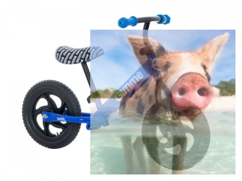 Rowerek biegowy Teddy (koła 11" pianka EVA, wiek 3+, lekka rama) - niebieski