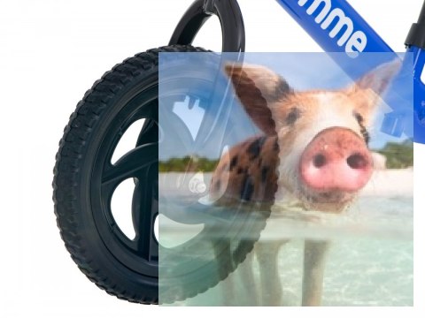 Rowerek biegowy Teddy (koła 11" pianka EVA, wiek 3+, lekka rama) - niebieski