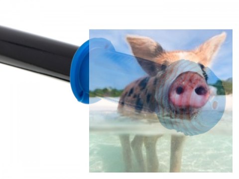 Rowerek biegowy Teddy (koła 11" pianka EVA, wiek 3+, lekka rama) - niebieski