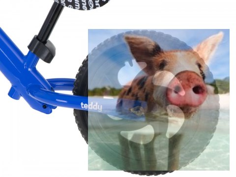 Rowerek biegowy Teddy (koła 11" pianka EVA, wiek 3+, lekka rama) - niebieski