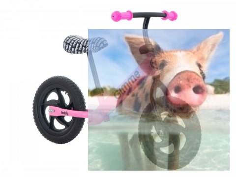 Rowerek biegowy Teddy (koła 11" pianka EVA, wiek 3+, lekka rama) - różowy