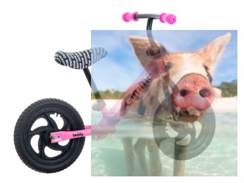 Rowerek biegowy Teddy (koła 11" pianka EVA, wiek 3+, lekka rama) - różowy