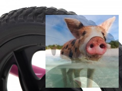 Rowerek biegowy Teddy (koła 11" pianka EVA, wiek 3+, lekka rama) - różowy