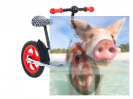 Rowerek biegowy Viko (koła 11