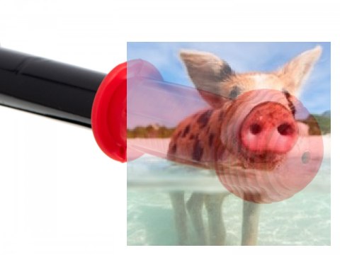 Rowerek biegowy Viko (koła 11" pianka EVA, wiek 3+, podest) - czerwony