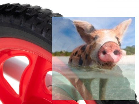 Rowerek biegowy Viko (koła 11" pianka EVA, wiek 3+, podest) - czerwony