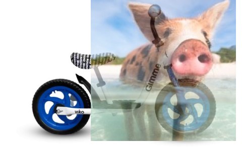 Rowerek biegowy Viko (koła 11" pianka EVA, wiek 3+, podest) - niebieski