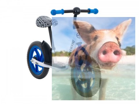 Rowerek biegowy Viko (koła 11" pianka EVA, wiek 3+, podest) - niebieski