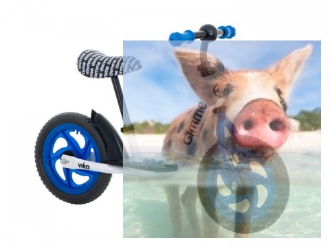 Rowerek biegowy Viko (koła 11" pianka EVA, wiek 3+, podest) - niebieski