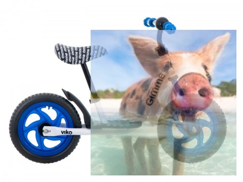 Rowerek biegowy Viko (koła 11" pianka EVA, wiek 3+, podest) - niebieski